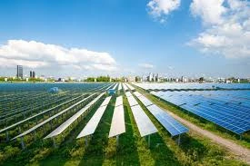 Impact of Technology and Green Energy in Sustainable Agriculture in India